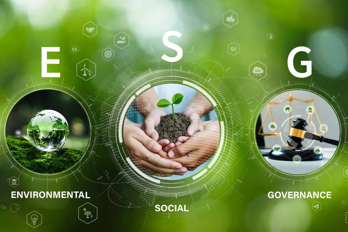 Infografiek bij VSME duurzaamheidsrapportage mkb (ESG-standaard)